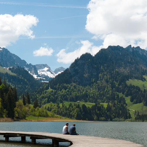 Bergkäse Schwarzsee